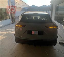 جيتور داشينج